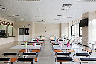 免费格斗游戏《Toribash Next》1月24日上线